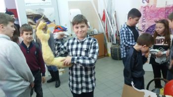 teatr pleciuga