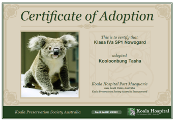 koala