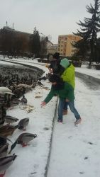 DOKARMIANIE ZWIERZĄT